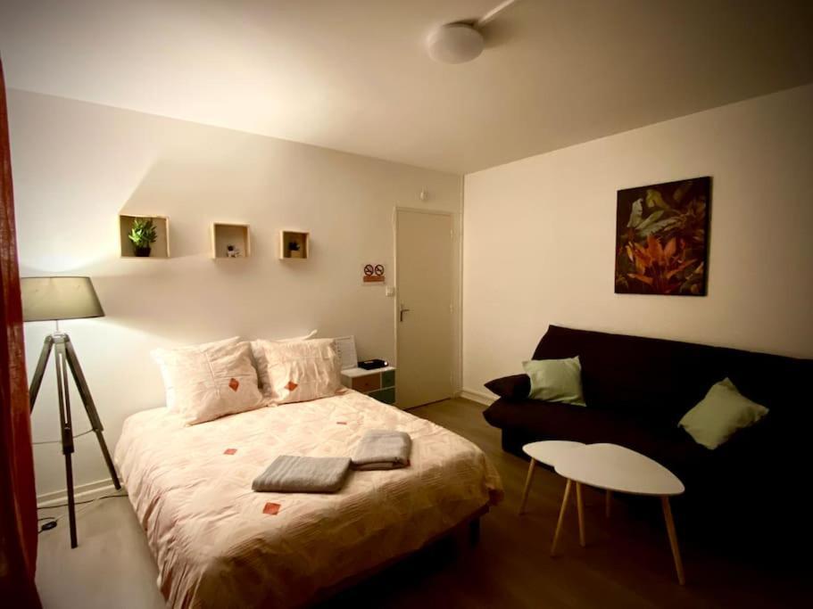 אוקזר T2 Cosy Proche Hopital + Parking Gratuit Sur Place מראה חיצוני תמונה